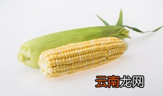 生玉米可以放冰箱冷冻保存吗 生玉米可以放冰箱吗