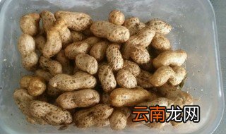 湿花生可以放冰箱吗 湿花生可以放冰箱里吗