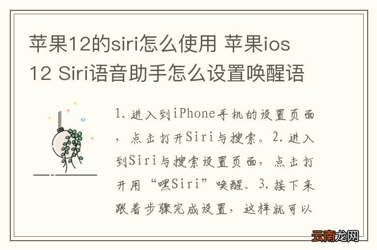 苹果12的siri怎么使用 苹果ios12 Siri语音助手怎么设置唤醒语