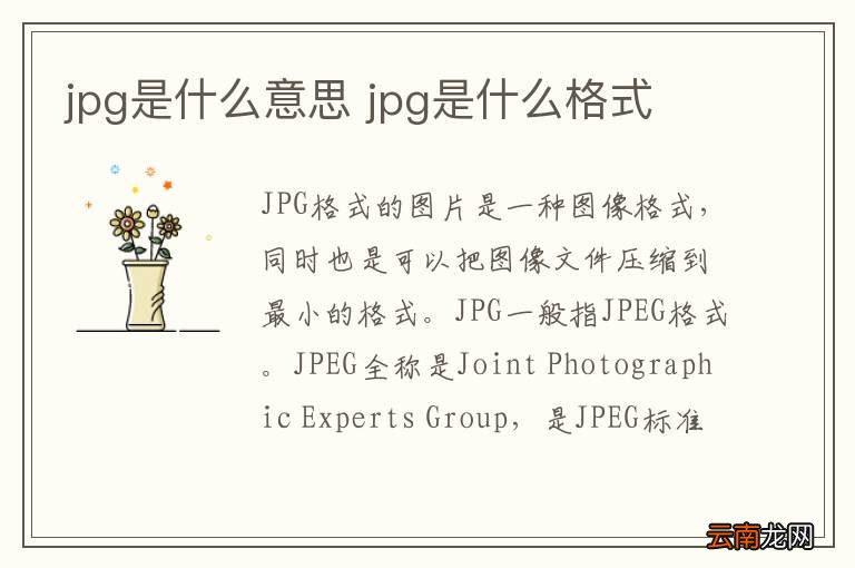 jpg是什么意思 jpg是什么格式