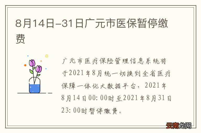 8月14日-31日广元市医保暂停缴费