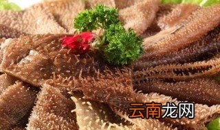 家庭洗毛肚方法 清洗毛肚的妙招
