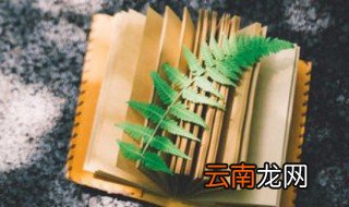关于友情的经典语录 友情的句子