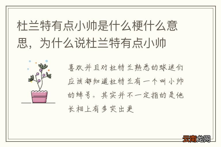 杜兰特有点小帅是什么梗什么意思，为什么说杜兰特有点小帅