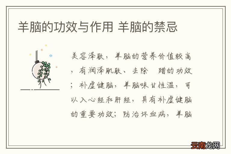 羊脑的功效与作用 羊脑的禁忌