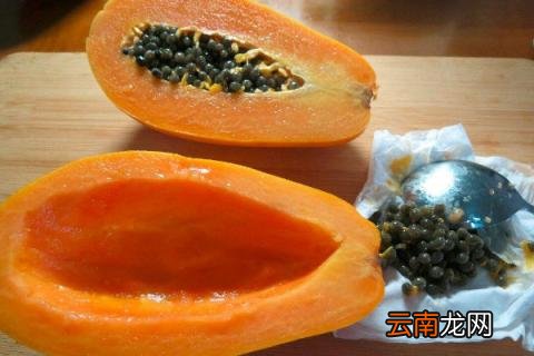 木瓜种子怎么种