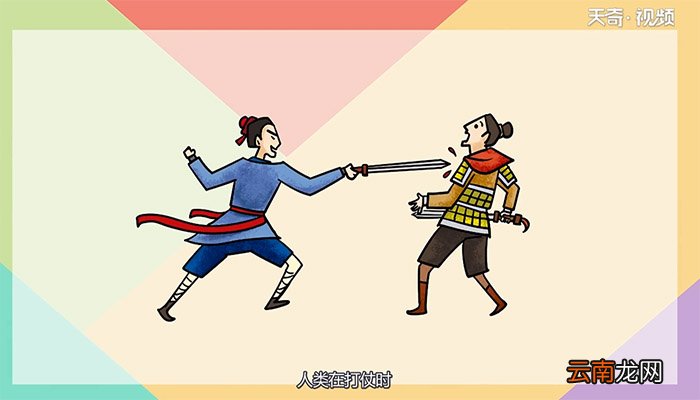 为什么很多人都喜欢用右手 很多人都喜欢用右手的原因