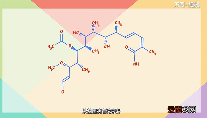 为什么很多人都喜欢用右手 很多人都喜欢用右手的原因