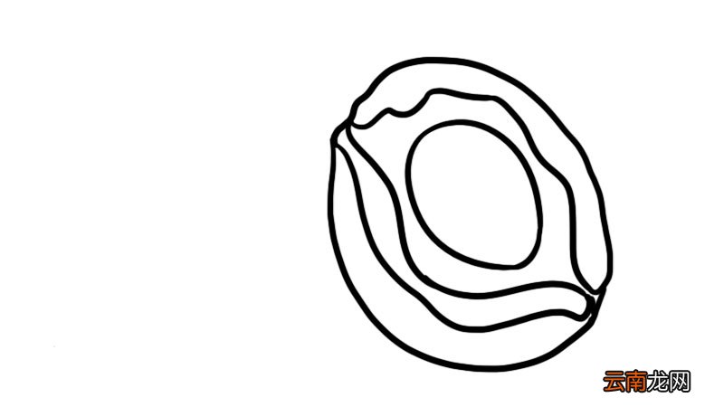 鲍鱼简笔画 鲍鱼怎么画