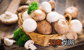 蘑菇怎么做好吃有几种做法 蘑菇有几种吃法怎么做好吃