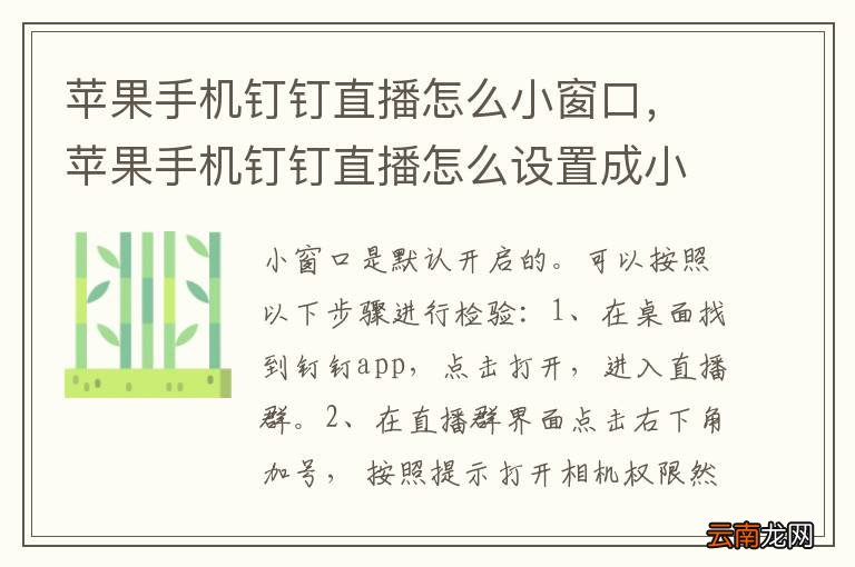 苹果手机钉钉直播怎么小窗口，苹果手机钉钉直播怎么设置成小窗口