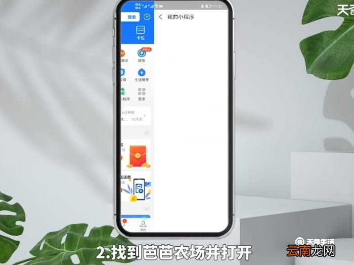 支付宝怎么种水果树,还给水果 支付宝怎么种果树领水果