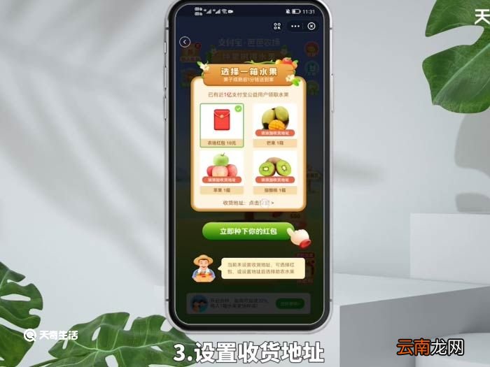 支付宝怎么种水果树,还给水果 支付宝怎么种果树领水果