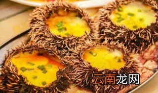 处理海胆的方法 如何处理海胆