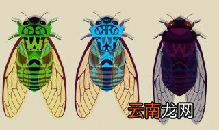 梦见一只蝉是什么意思 梦见一只蝉解释