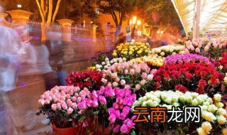 什么花不能放在卧室里养 什么花不能放在卧室里