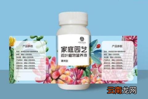 土培植物营养液滴几滴