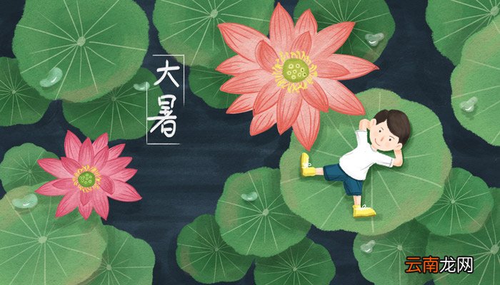 小暑后面的节气是什么 小暑是第几个节气