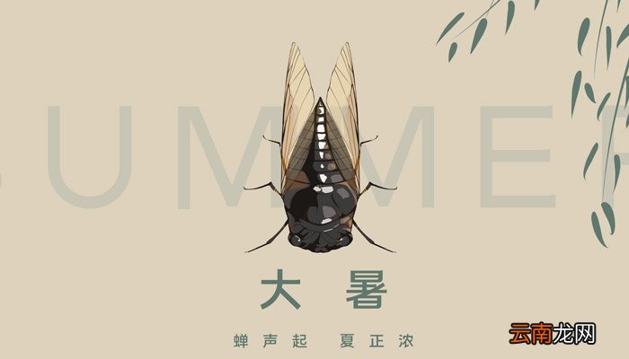 小暑后面的节气是什么 小暑是第几个节气