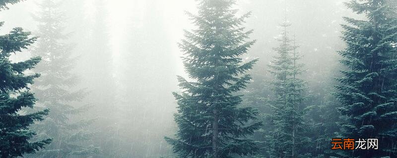 早蛩啼复歇拼音 古诗夜雨拼音版