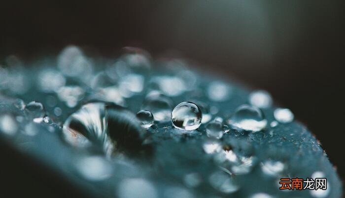 早蛩啼复歇拼音 古诗夜雨拼音版