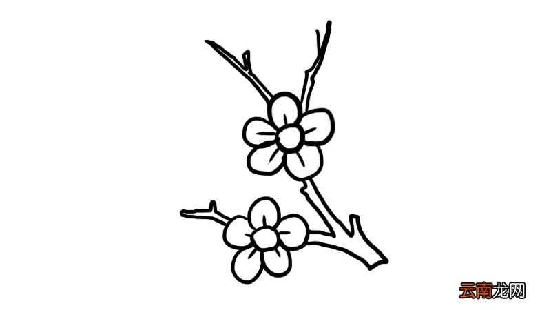 梅花树枝简笔画