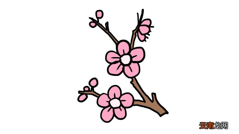 梅花树枝简笔画