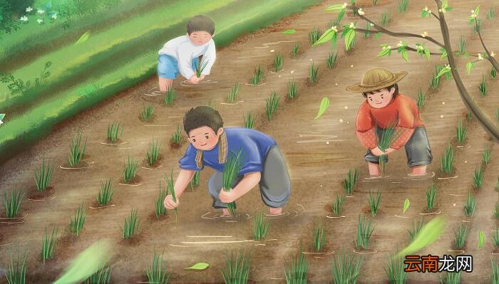 四时田园杂兴其31的诗意是什么 四时田园杂兴三十一首翻译