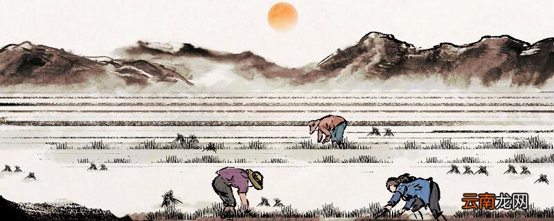 四时田园杂兴其31的诗意是什么 四时田园杂兴三十一首翻译