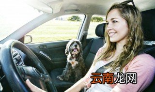 奥迪车窗按键使用方法 奥迪车窗按键图解
