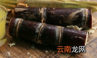 甘蔗运输中怎么保存方法 甘蔗如何保存方法