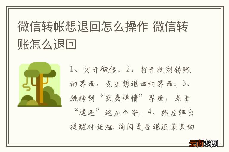 微信转帐想退回怎么操作 微信转账怎么退回