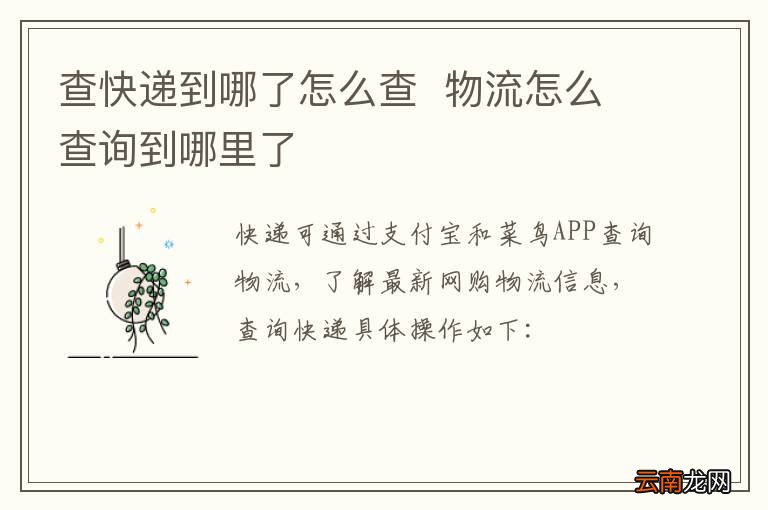 查快递到哪了怎么查物流怎么查询到哪里了