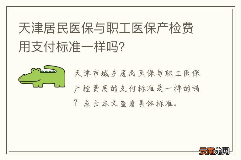 天津居民医保与职工医保产检费用支付标准一样吗？