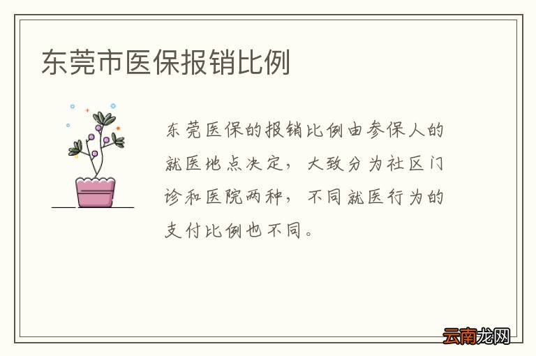东莞市医保报销比例
