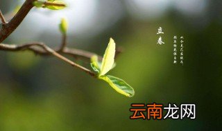 早立春晚立春有啥讲究 早立春晚立春介绍