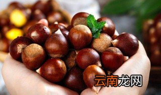 板栗冷冻保存方法是什么 板栗冷冻保存方法介绍