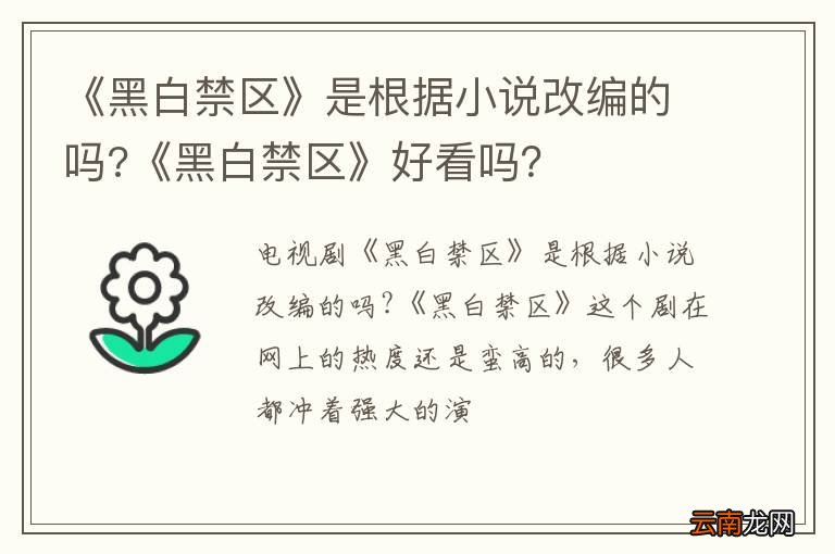 《黑白禁区》是根据小说改编的吗?《黑白禁区》好看吗？