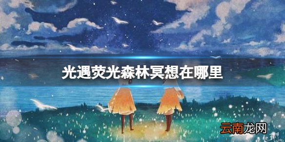 光遇荧光森林冥想在哪里 荧光森林冥想点位置