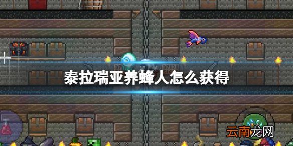 泰拉瑞亚养蜂人怎么获得 泰拉瑞亚养蜂人武器图鉴