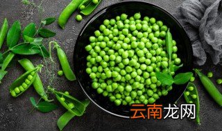 怎么贮存豌豆 存放豌豆的教程