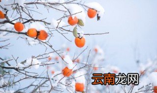 冬天保养皮肤的重要性 冬天保养皮肤有多重要