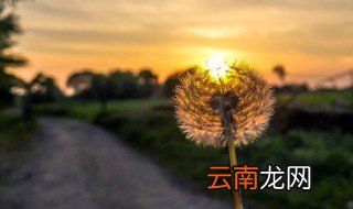 2022超贱的网名搞笑，非常搞笑的网名2021