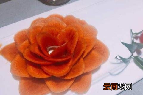 萝卜莲花怎么养