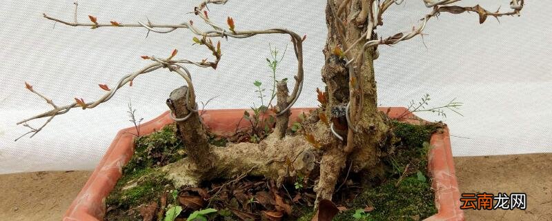 下山桩怎么套膜