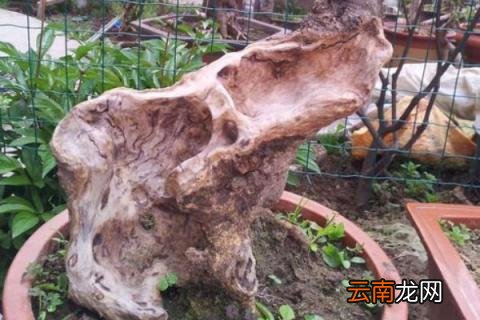 下山桩怎么套膜