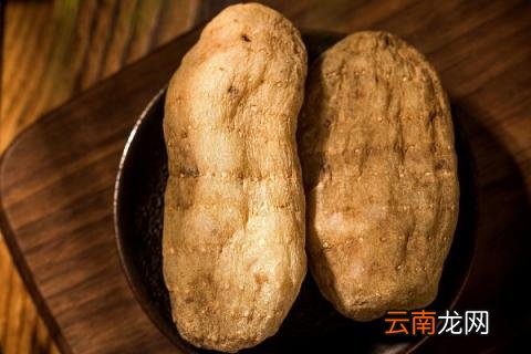 天麻种植技术
