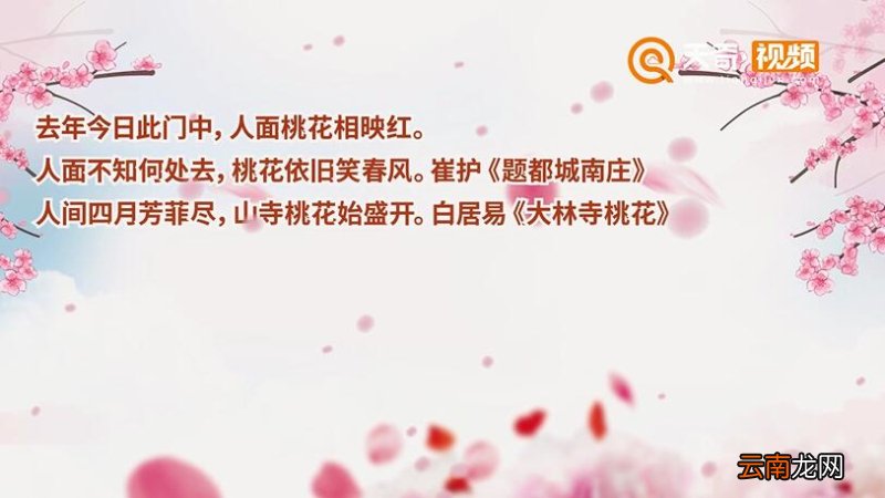 桃花的诗句