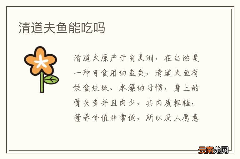 清道夫鱼能吃吗