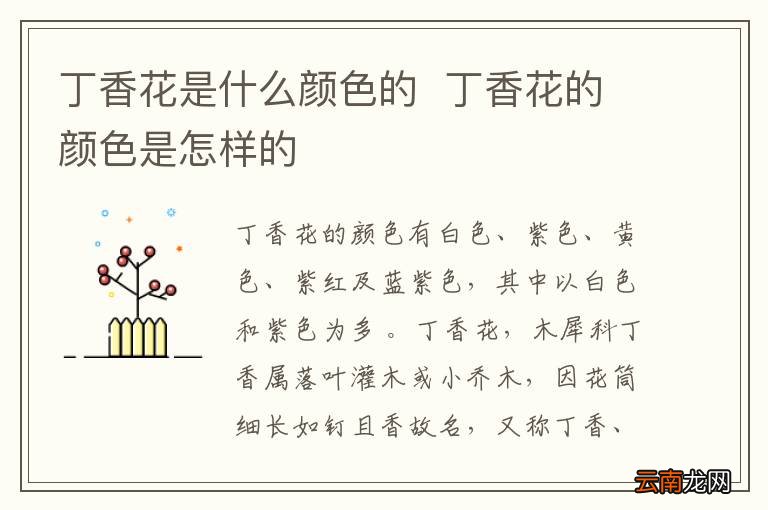 丁香花是什么颜色的丁香花的颜色是怎样的